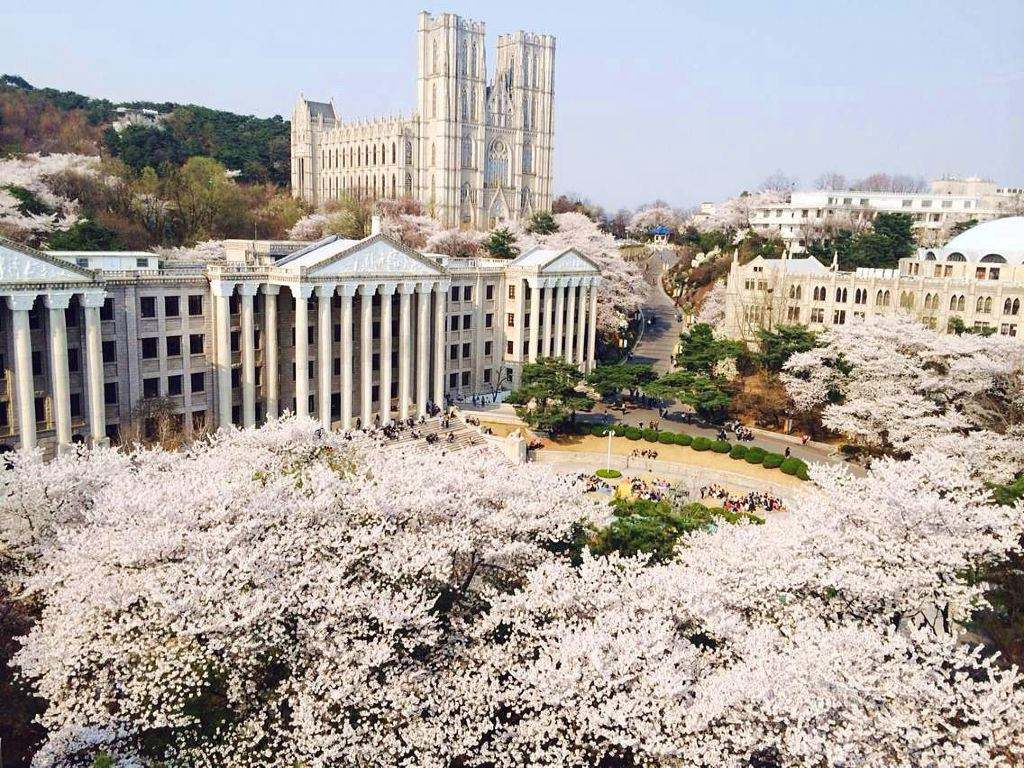 韩国庆一大学图片